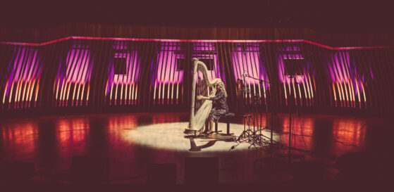 Amelia Tokarska Paweł Biliński Celtic Harp Tales album preview